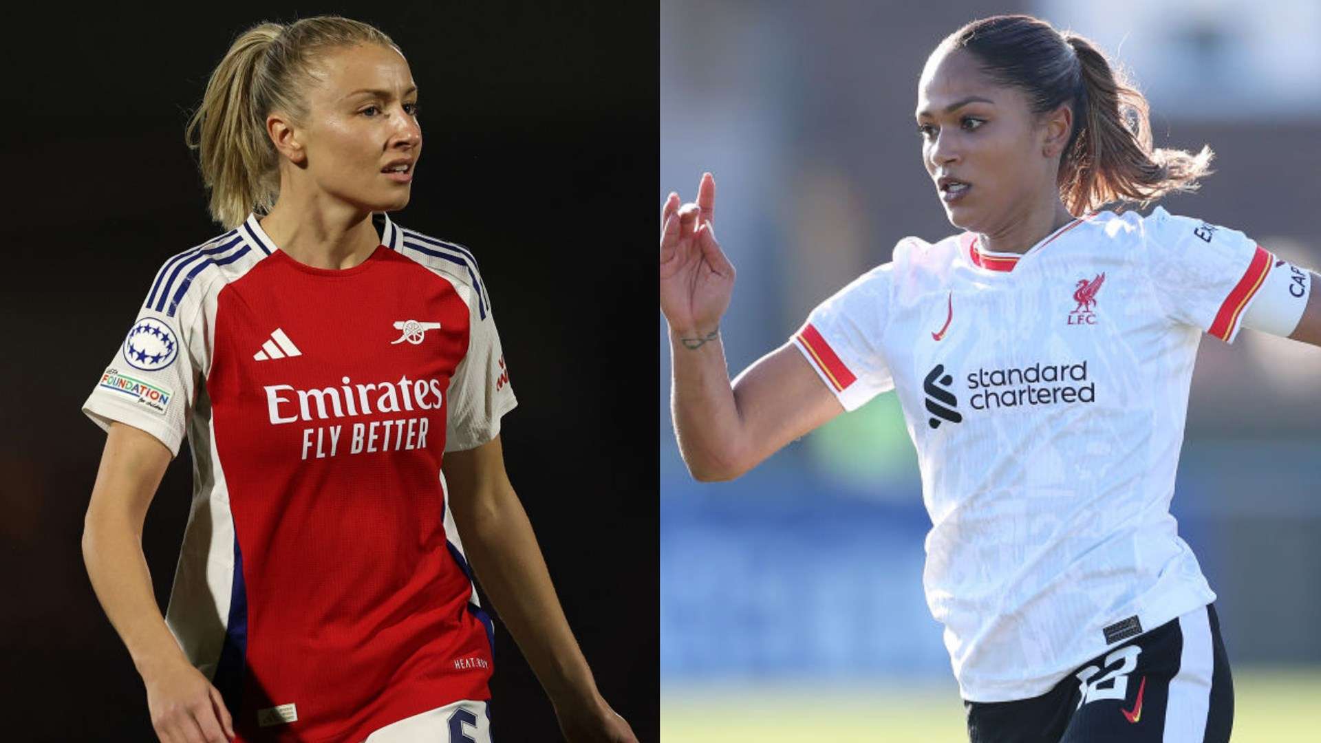 习近平主席 习近平主席